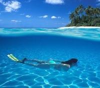 Aquatic Amazement